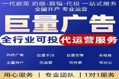 SEM广告投放策略：成功案例解析